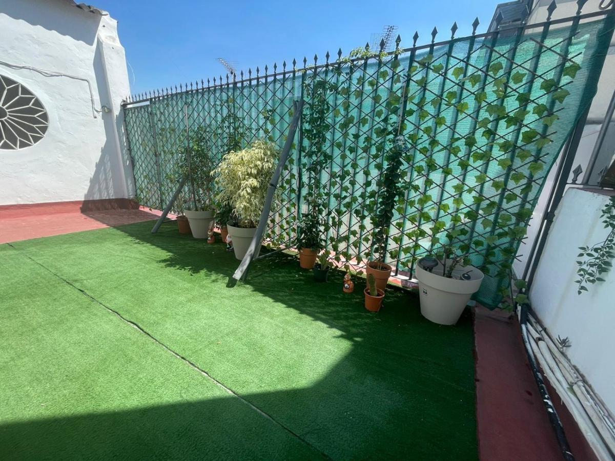 Atico Guadalquivir - Touristic Loft With Terrace Seville Room photo